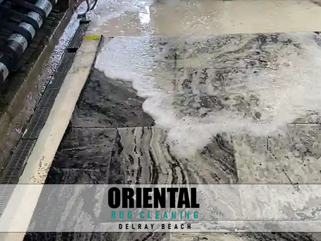 Expert Pet Odor & Stain Removal