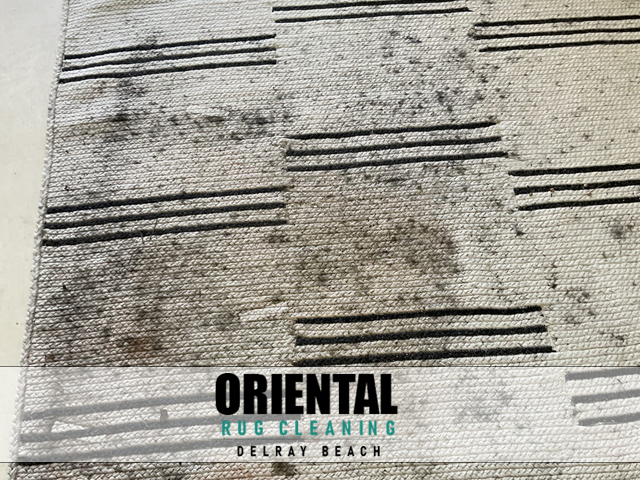 Persian Rug Cleaning 1