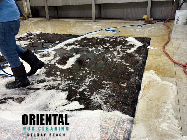 Area Rug Cleaning