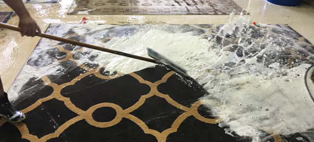 Area Rug Cleaning Service